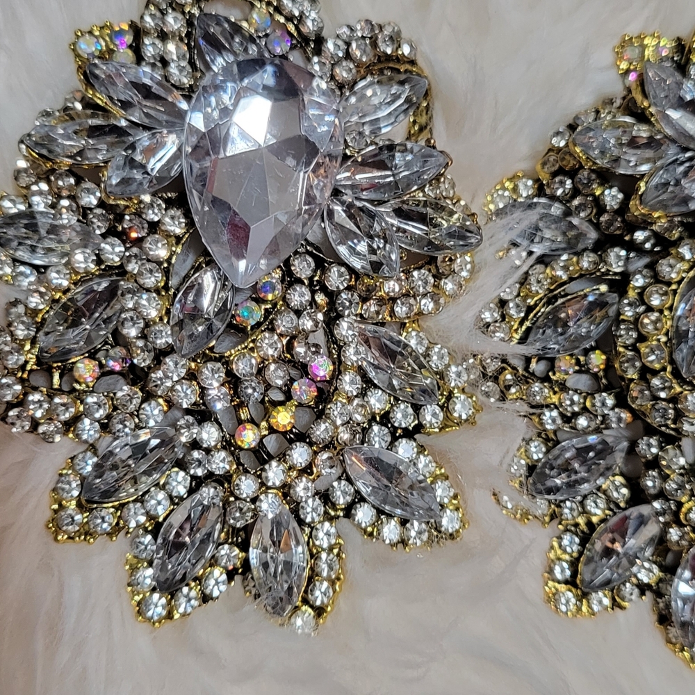 Large luxury brooch
